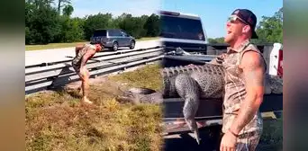 Cazador de caimanes lucha descalzo por remover a imponente reptil de concurrida autopista de Florida