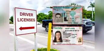 Licencia de conducir en Florida y Real ID dejarán de ser válidas para este grupo de personas en 2025 por esta razón Licencia de conducir en Florida y Real ID dejarán de ser válidas para este grupo de personas en 2025 por esta razón