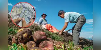 Nuevo bono de S/1.000 se entregará a estos beneficiarios en Perú: ¿cuáles son los requisitos para acceder al subsidio? Nuevo bono de S/1.000 se entregará a estos beneficiarios en Perú: ¿cuáles son los requisitos para acceder al subsidio?