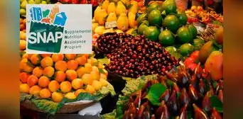 SNAP en Florida 2025: conoce el cronograma de pagos de beneficios para el mes de mayo