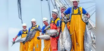 PBI pesquero del Perú creció 29,1% en marzo de 2025 y encadena tres meses de crecimiento, según PRODUCE