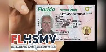Real ID en Florida 2025: requisitos, precios y todo lo que necesitas saber para obtener la identificación Real ID en Florida 2025: requisitos, precios y todo lo que necesitas saber para obtener la identificación