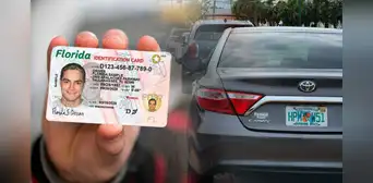 Florida: nueva norma del FLSHMV obligará a ciertos conductores a renovar la licencia de conducir cada año Florida: nueva norma del FLSHMV obligará a ciertos conductores a renovar la licencia de conducir cada año