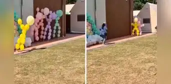 ¡Increíble! Globos ‘cobran vida’, salen corriendo de fiesta infantil y en TikTok bromean: “Tenían otro evento” ¡Increíble! Globos ‘cobran vida’, salen corriendo de fiesta infantil y en TikTok bromean: “Tenían otro evento”