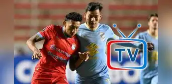 Canal confirmado Sporting Cristal vs Bolívar: ¿cómo ver EN VIVO el partido por la fecha 4 de la Copa Libertadores 2025?