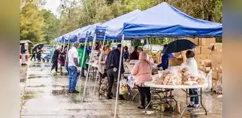 Florida: los bancos de comida que brindan alimentos gratuitos sin registro previo para los residentes Florida: los bancos de comida que brindan alimentos gratuitos sin registro previo para los residentes