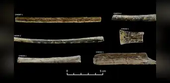 Arqueólogos en Perú descubren una 'sala de drogas' preinca que confirma el uso de psicodélicos hace 2.500 años Arqueólogos en Perú descubren una 'sala de drogas' preinca que confirma el uso de psicodélicos hace 2.500 años