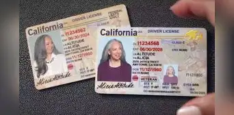 Todos menos este grupo de inmigrantes podrá tramitar la Real ID en California, según DMV Todos menos este grupo de inmigrantes podrá tramitar la Real ID en California, según DMV