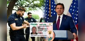 Ley en Florida firmada por Ron DeSantis aumenta penas a los conductores por incumplir requisito básico vehicular en 2025 Ley en Florida firmada por Ron DeSantis aumenta penas a los conductores por incumplir requisito básico vehicular en 2025