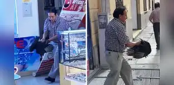 Gallinazo entra a óptica en el Centro de Lima y reacción del dueño sorprende: “Quería visión de águila” Gallinazo entra a óptica en el Centro de Lima y reacción del dueño sorprende: “Quería visión de águila”