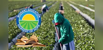 Texas ofrece apoyo educativo a hijos de inmigrantes: conoce cómo acceder a este programa y qué requisitos necesitas Texas ofrece apoyo educativo a hijos de inmigrantes: conoce cómo acceder a este programa y qué requisitos necesitas