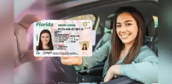 Florida: nueva regla del FLHSMV impone cambios en las licencias de conducir para inmigrantes sin Green Card Florida: nueva regla del FLHSMV impone cambios en las licencias de conducir para inmigrantes sin Green Card