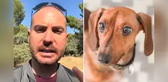 Adiestrador revela por qué saludar a tu perro al llegar a casa podría ser perjudicial: “Que no te extrañe un infarto”