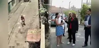Graban tiktok para denunciar, pero son atacados: vecinos de Ate exponen personas en situación de calle tras violencia Graban tiktok para denunciar, pero son atacados: vecinos de Ate exponen personas en situación de calle tras violencia