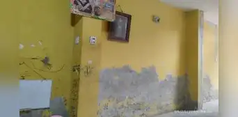 Guía práctica para evitar que se caiga la pintura de tus paredes: tips para interiores y exteriores
