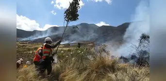 Adulto mayor fallece en incendio forestal en Cusco: es la primera víctima del siniestro de gran magnitud Adulto mayor fallece en incendio forestal en Cusco: es la primera víctima del siniestro de gran magnitud