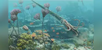 Paleontólogos peruanos descubren que un animal marino vivió en lo que ahora es Cusco hace 470 millones de años