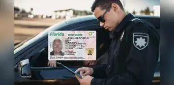 Vigente medida ambiental en Florida sanciona a los conductores con grandes multas si no cumplen ley federal Vigente medida ambiental en Florida sanciona a los conductores con grandes multas si no cumplen ley federal