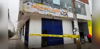 Detonan explosivo en veterinaria llena de animalitos en Comas: "Estaban en silencio y temí lo peor" Detonan explosivo en veterinaria llena de animalitos en Comas: "Estaban en silencio y temí lo peor"