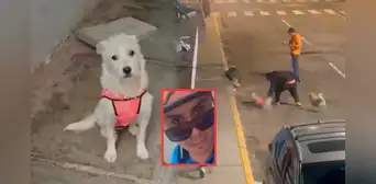 Sujeto acusado de matar a perrita en Trujillo ya habría sido investigado por otros delitos desde el 2011