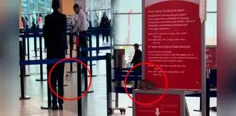 Pasajeros captan una rata en sala de abordaje de aeropuerto en Perú y en redes bromean: “Corre para no perder su vuelo” Pasajeros captan una rata en sala de abordaje de aeropuerto en Perú y en redes bromean: “Corre para no perder su vuelo”