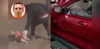 Vecinos atacan auto del padre de hombre que mató a perrita en Trujillo y exigen justicia por la muerte de la mascota Vecinos atacan auto del padre de hombre que mató a perrita en Trujillo y exigen justicia por la muerte de la mascota