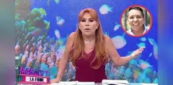 Magaly Medina exige investigación a Edwin Sierra tras las revelaciones de Greissy Ortega: “Esto es un delito de seducción" Magaly Medina exige investigación a Edwin Sierra tras las revelaciones de Greissy Ortega: “Esto es un delito de seducción"