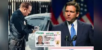 Vigente ley en Florida firmada por Ron DeSantis sanciona a los conductores con altas penas si no cumplen esencial requisito vehicular Vigente ley en Florida firmada por Ron DeSantis sanciona a los conductores con altas penas si no cumplen esencial requisito vehicular