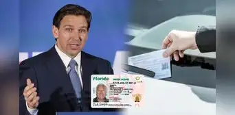 Estas son las fuertes multas para los conductores de Florida que no cumplan ley firmada por el gobernador Ron DeSantis Estas son las fuertes multas para los conductores de Florida que no cumplan ley firmada por el gobernador Ron DeSantis
