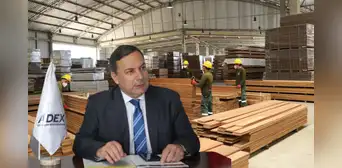 Exportaciones forestales peruanas cayeron en 2024 a su nivel más bajo desde pandemia Exportaciones forestales peruanas cayeron en 2024 a su nivel más bajo desde pandemia