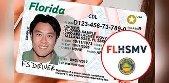 FLHSMV: estas personas deberán tramitar una nueva licencia de conducir en Florida este 2025