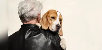 ¿Cuándo un perro ha llegado a la vejez? Descubre los factores que determinan el inicio de la longevidad