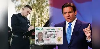 Esta es la ley firmada por Ron DeSantis que ordena a un oficial de Florida detener a un conductor si hace esto mientras maneja Esta es la ley firmada por Ron DeSantis que ordena a un oficial de Florida detener a un conductor si hace esto mientras maneja