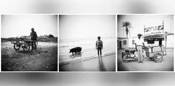 La personalidad de la fotografía peruana contemporánea: de Martín Chambi en adelante La personalidad de la fotografía peruana contemporánea: de Martín Chambi en adelante