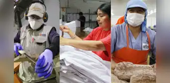 Nueva Ley MYPE: alivios tributarios, menor carga laboral y una advertencia al Estado Nueva Ley MYPE: alivios tributarios, menor carga laboral y una advertencia al Estado