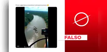 Esta anaconda gigante sobre el río Amazonas en Perú no es real: es un montaje Esta anaconda gigante sobre el río Amazonas en Perú no es real: es un montaje