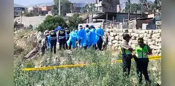 Adulto mayor desaparecido es hallado sin vida en Arequipa: su cuerpo habría sido atacado por perros Adulto mayor desaparecido es hallado sin vida en Arequipa: su cuerpo habría sido atacado por perros