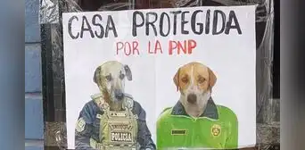 Tienda coloca divertido cartel con la fotografía de sus perritos y son furor en redes: “Protegida por la PNP” Tienda coloca divertido cartel con la fotografía de sus perritos y son furor en redes: “Protegida por la PNP”