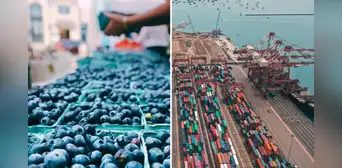 Agroexportaciones peruanas siguen creciendo en 2025: uvas y arándanos impulsan el sector que suma casi US$3.000 millones Agroexportaciones peruanas siguen creciendo en 2025: uvas y arándanos impulsan el sector que suma casi US$3.000 millones