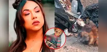 Dayanita impacta al filtrar sorpresiva imagen del altar que construyó con un cráneo humano, muñeco de Chucky y más 'ofrendas' Dayanita impacta al filtrar sorpresiva imagen del altar que construyó con un cráneo humano, muñeco de Chucky y más 'ofrendas'