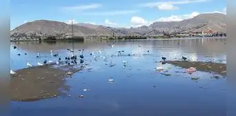 Ordenanza declara al lago Titicaca como sujeto de derecho: fue un "milagro" de la Virgen de la Candelaria Ordenanza declara al lago Titicaca como sujeto de derecho: fue un "milagro" de la Virgen de la Candelaria