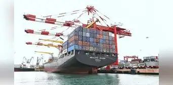 Perú suspende por completo sus importaciones a Eslovaquia y Hungría para prevenir el contagio de fiebre aftosa Perú suspende por completo sus importaciones a Eslovaquia y Hungría para prevenir el contagio de fiebre aftosa