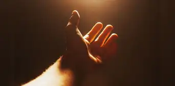 Descubren que todos los seres vivos emiten una luz tenue que se desvanece despúes de la muerte