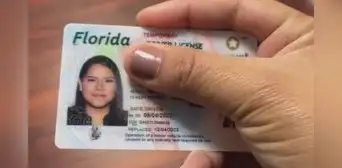 Nueva medida del FLHSMV pone en jaque a no inmigrantes en Florida en 2025: de qué se trata