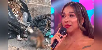 Dayanita indignada tras escándalo por quemar un cráneo humano: “Dijeron que había cometido un crimen" Dayanita indignada tras escándalo por quemar un cráneo humano: “Dijeron que había cometido un crimen"