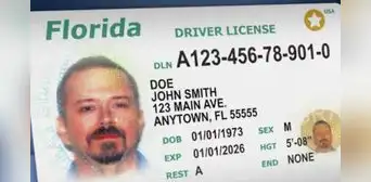 Miami-Dade: FLHSMV establece que este grupo de conductores deberá renovar su licencia de conducir cada año Miami-Dade: FLHSMV establece que este grupo de conductores deberá renovar su licencia de conducir cada año