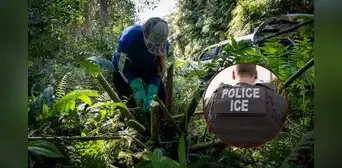 Más redadas del ICE: esta es la inesperada isla de EEUU donde se arrestan y deportan inmigrantes latinos