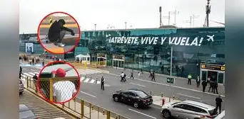 Taxistas del aeropuerto Jorge Chávez denuncian ser víctimas de reglaje por presuntos extorsionadores: "Nos afecta bastante" Taxistas del aeropuerto Jorge Chávez denuncian ser víctimas de reglaje por presuntos extorsionadores: "Nos afecta bastante"