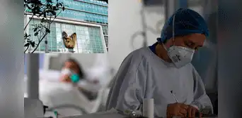 IMSS enfrenta demanda tras negar atención a paciente terminal por falta de insumos médicos esenciales en CDMX IMSS enfrenta demanda tras negar atención a paciente terminal por falta de insumos médicos esenciales en CDMX