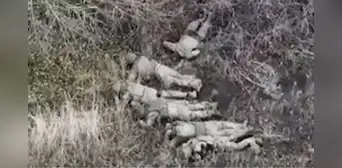 Interceptan orden rusa que revela ejecuciones de prisioneros de guerra en Ucrania: “Maten a los demás” Interceptan orden rusa que revela ejecuciones de prisioneros de guerra en Ucrania: “Maten a los demás”